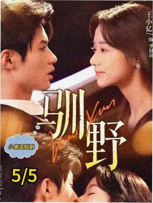 春山可望 古装情感剧海报